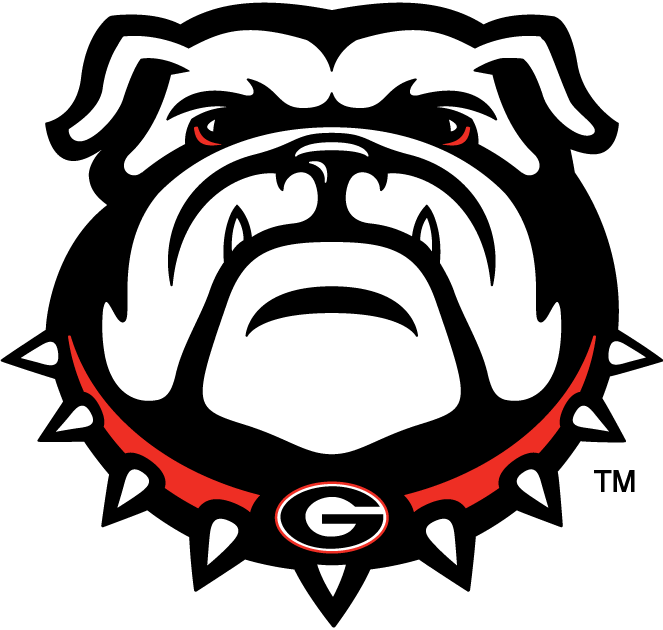 Georgia Bulldogs 2013-Pres Secondary Logo diy DTF decal sticker